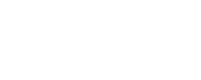 Fleetmind_white